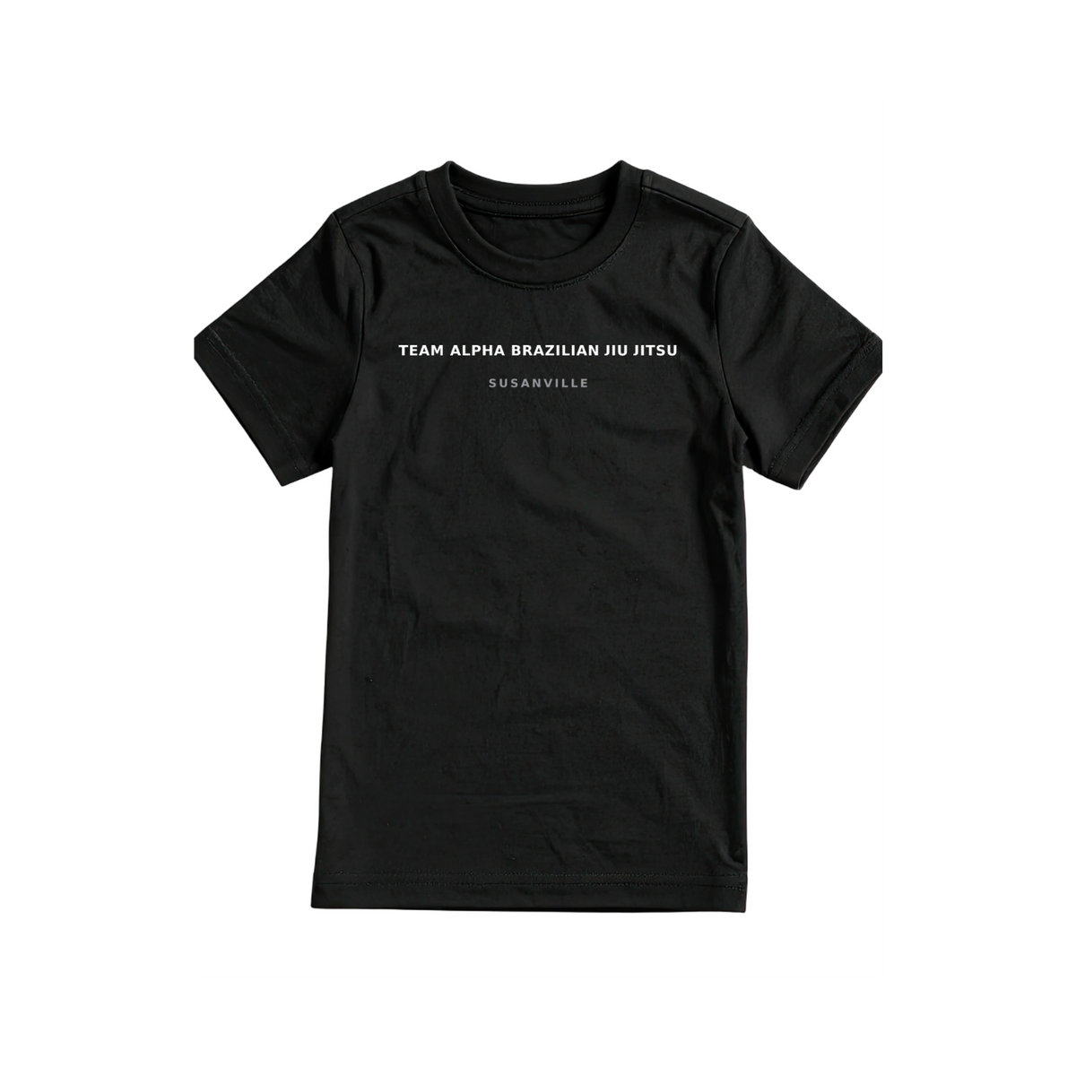 Pick Your City Gym T-Shirts. SEE COLLECTION FOR CITY NAMES