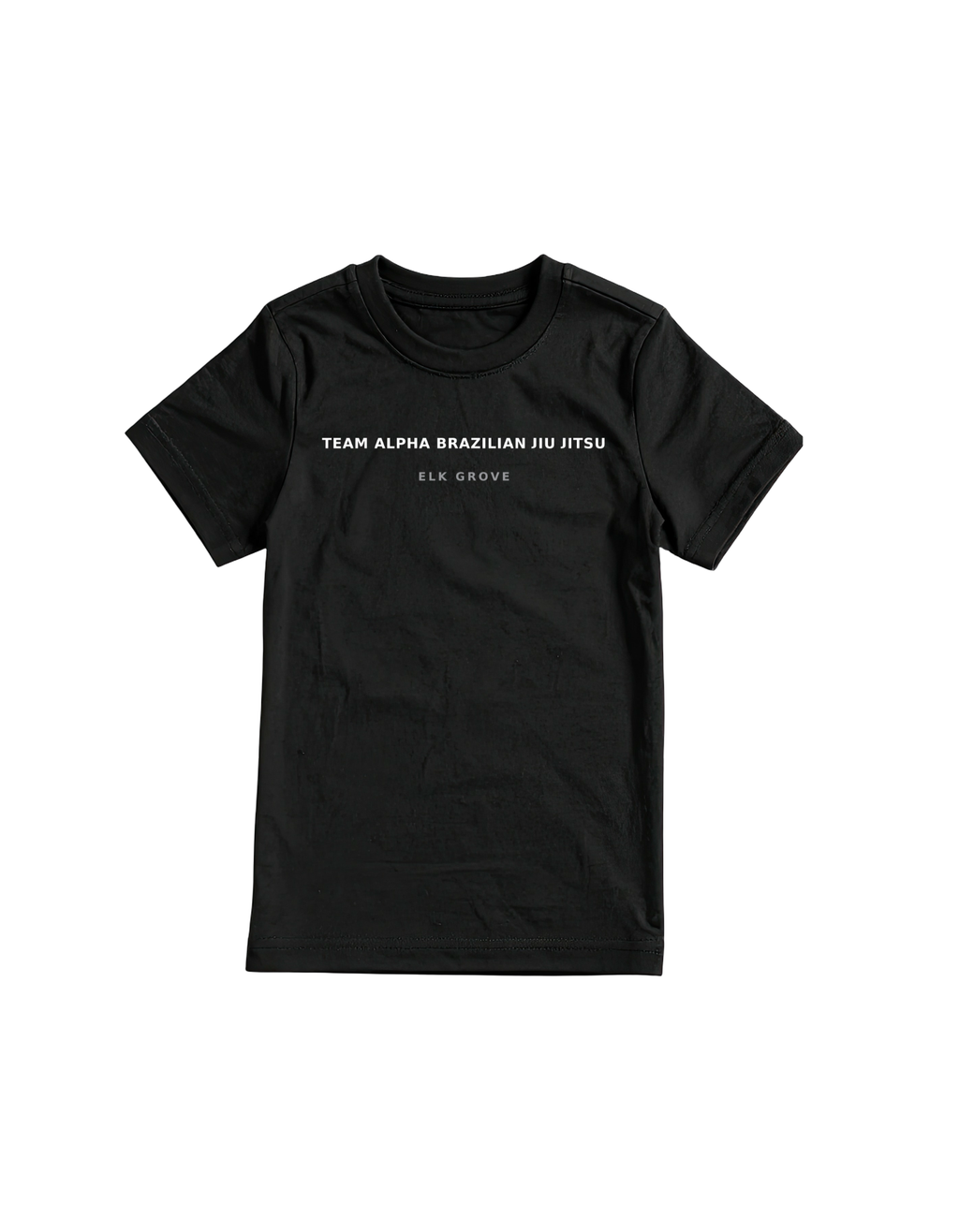 Pick Your City Gym T-Shirts. SEE COLLECTION FOR CITY NAMES