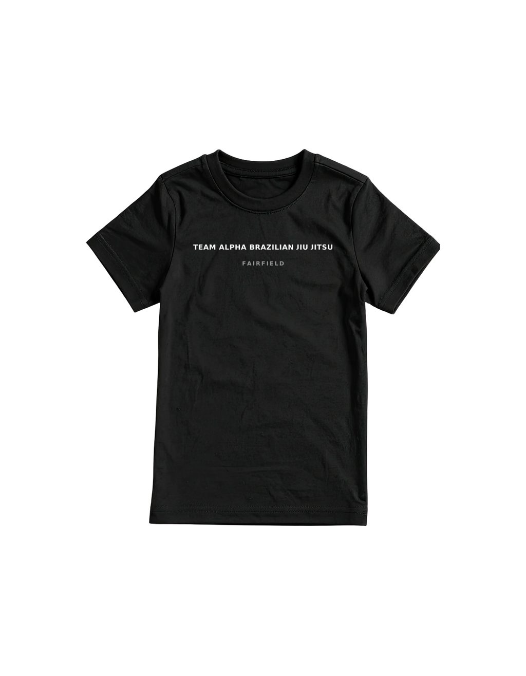Pick Your City Gym T-Shirts. SEE COLLECTION FOR CITY NAMES