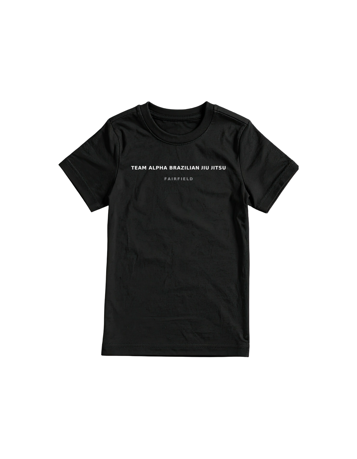 Pick Your City Gym T-Shirts. SEE COLLECTION FOR CITY NAMES