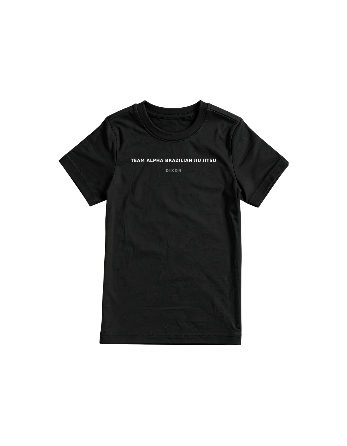 Pick Your City Gym T-Shirts. SEE COLLECTION FOR CITY NAMES