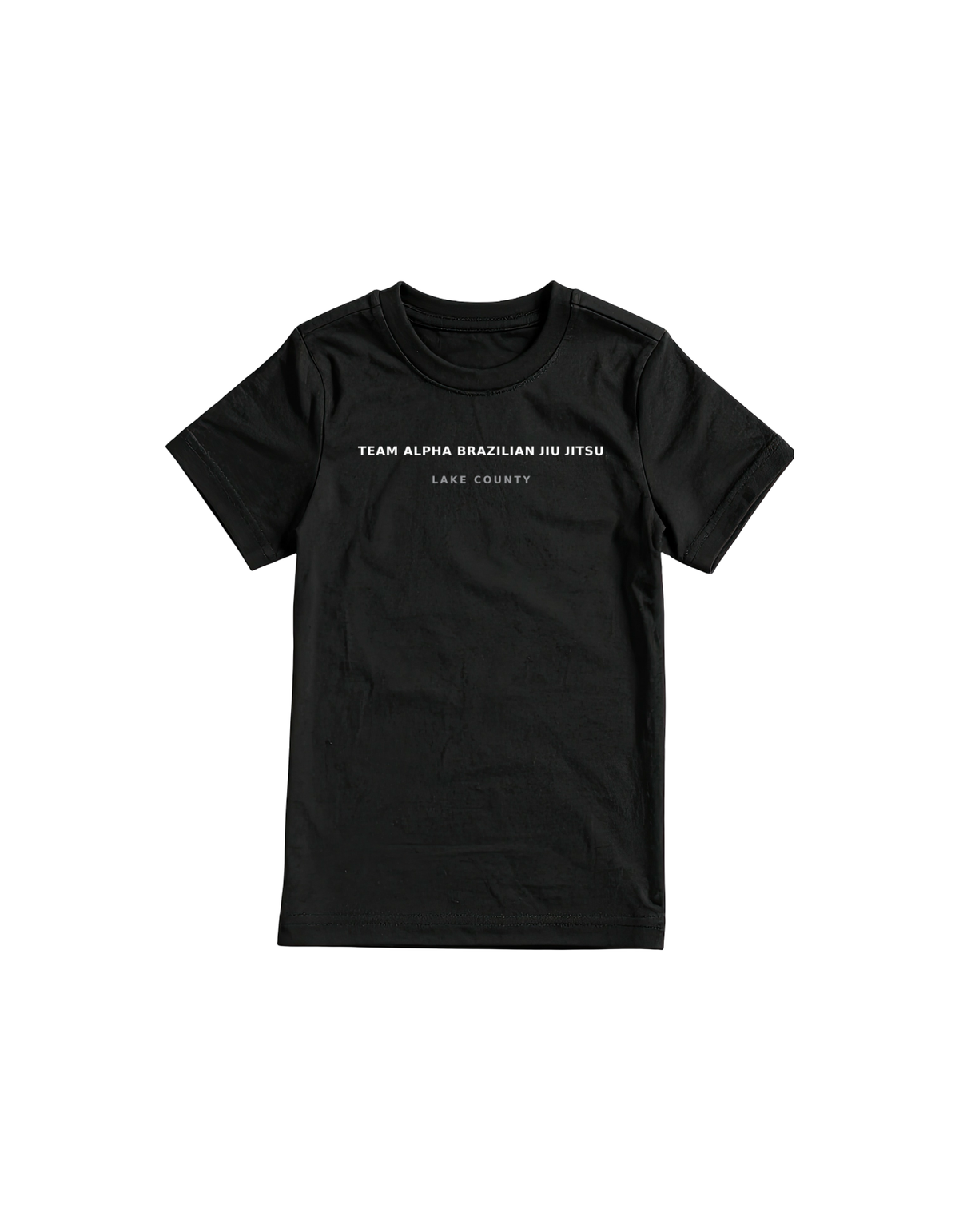Pick Your City Gym T-Shirts. SEE COLLECTION FOR CITY NAMES