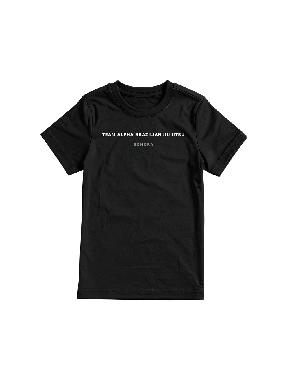 Pick Your City Gym T-Shirts. SEE COLLECTION FOR CITY NAMES